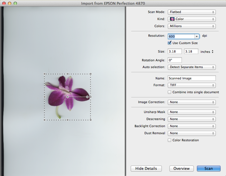 File:Fig07 Ex1 06 CS6.png