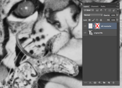 Fig11 Ex2 06b CS6.png