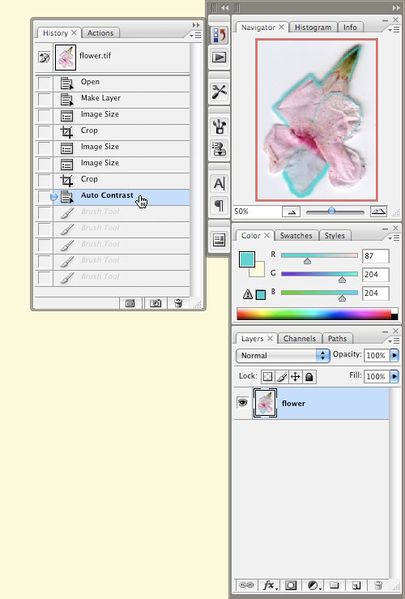 File:Fig07 Ex4 06.jpg