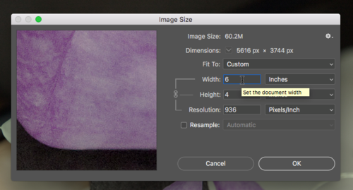 Fig8 Ex2 04b CC2018.png
