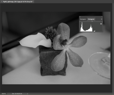 Fig8 Ex3 02 CC2018.png