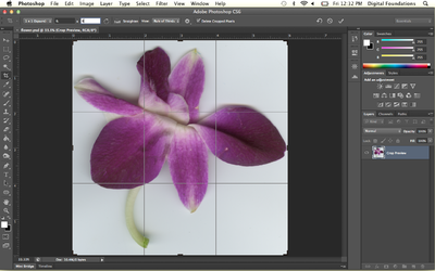 Fig07 Ex4 01 CS6.png