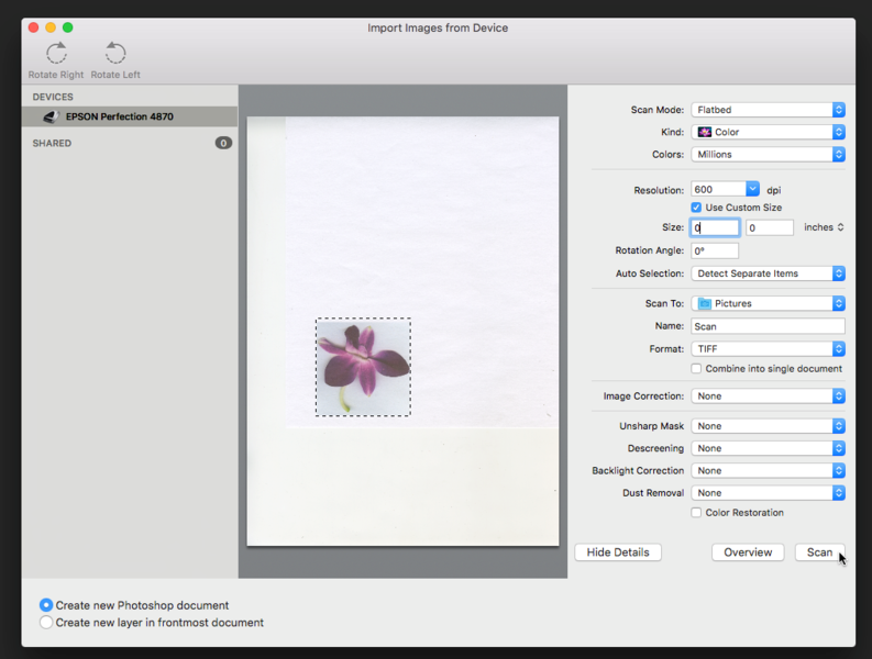 File:Fig7 Ex1 08b CC2018.png