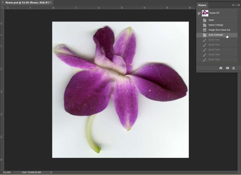 File:Fig7 Ex4 04 CC2018.png