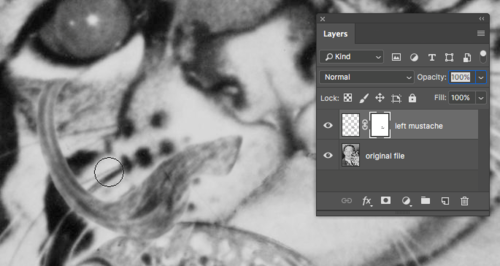 Fig11 Ex2 06 CC2018.png