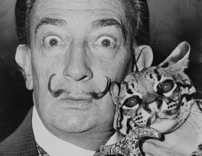 Fig11 Ex2 08 CS6.jpg