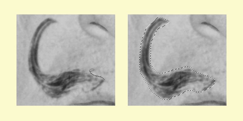 File:Fig11 Ex1 01.jpg