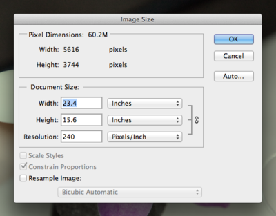 Fig08 Ex2 4a CS6.png