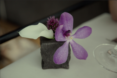 Fig8 Ex4 09a CC2018.png