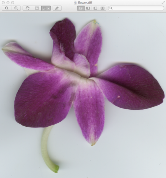 File:Fig07 Ex1 07 CS6.png