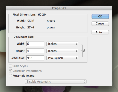 Fig08 Ex2 4b CS6.png