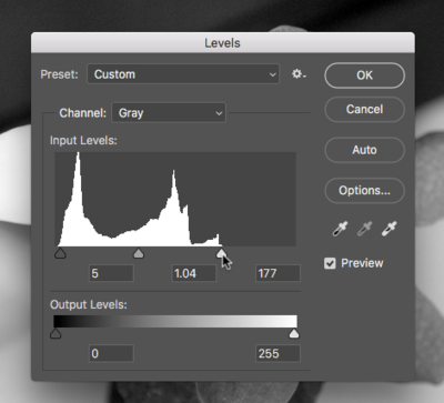 Fig8 Ex4 01 CC2018.png