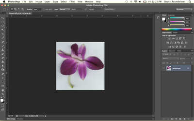 Fig07 Ex2 01 CS6.png