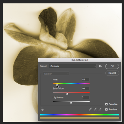 Fig7 Ex4 05 CC2018.png