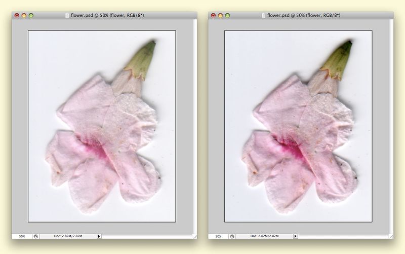 File:Fig07 Ex4 03a.jpg