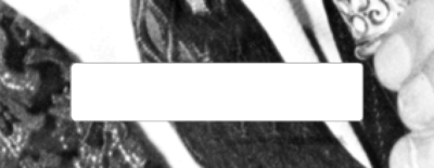 Fig11 Ex4 04 CS6.png