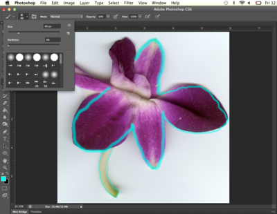 Fig07 Ex4 05 CS6.png