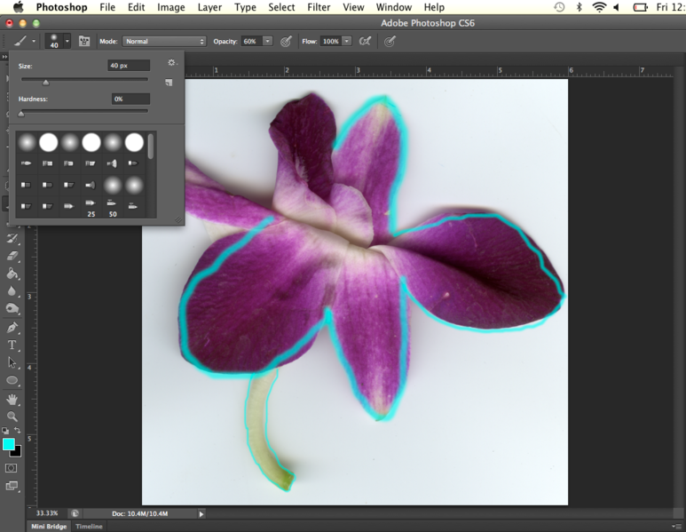 File:Fig07 Ex4 05 CS6.png