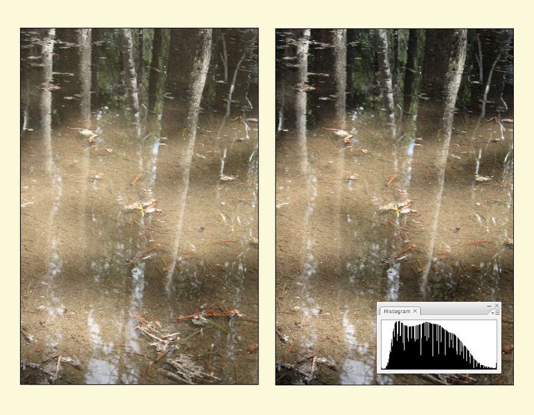 File:Fig08 Ex4 09.jpg